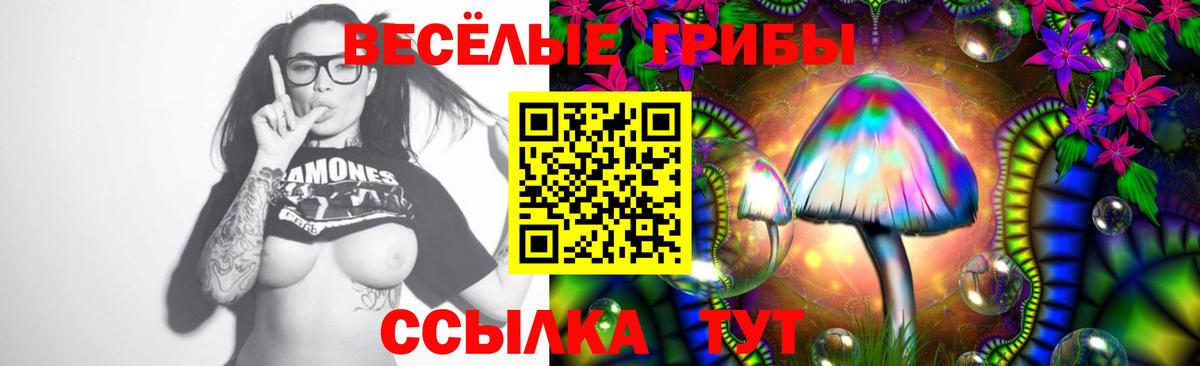 Псилоцибиновые грибы Psilocybe Кудрово